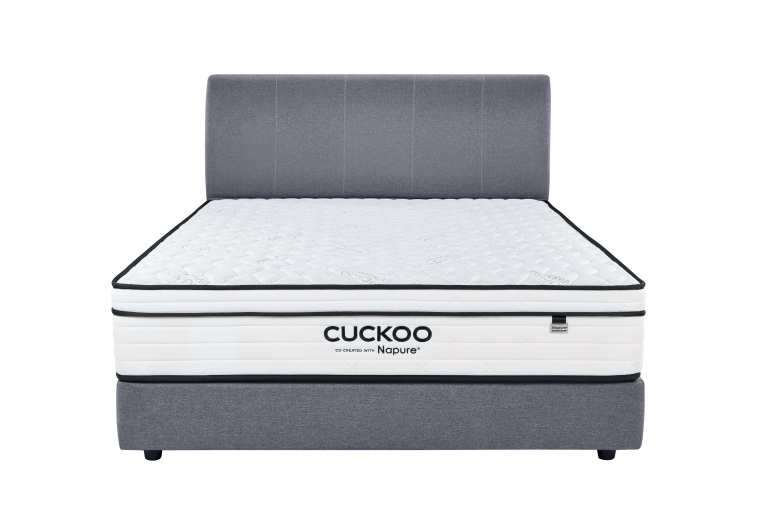 tilam-cuckoo-a-lite-series